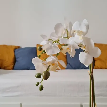 Apartment De Charme